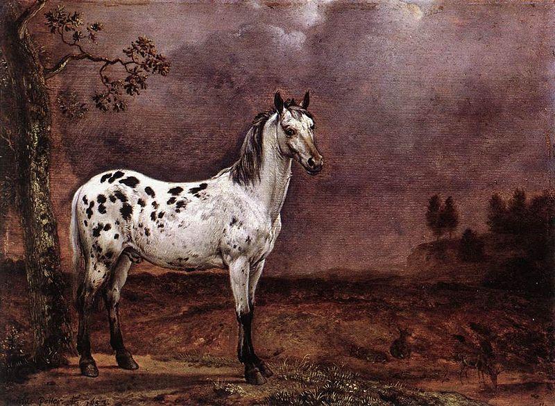 paulus potter The Spotted Horse France oil painting art